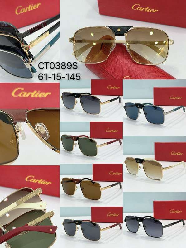 Picture of Cartier Sunglasses _SKUfw55406918fw